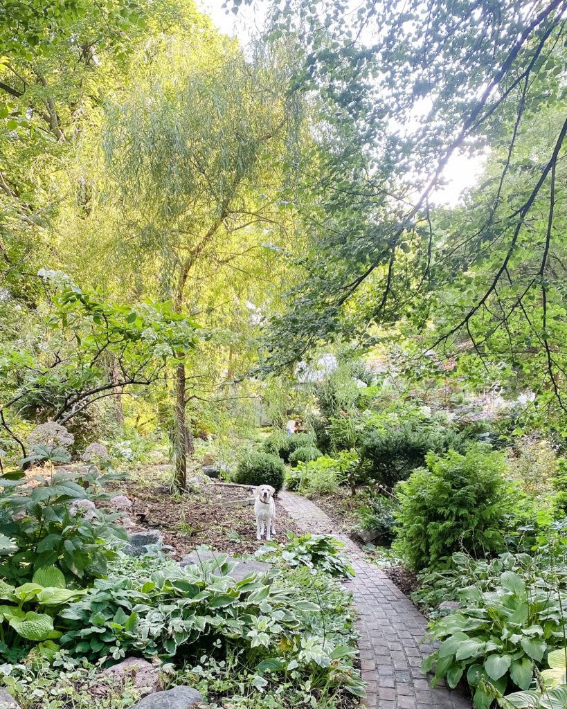 Adventures in Gardening from a Landscaping Novice | Wit & Delight