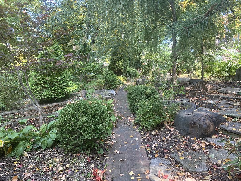 Adventures in Gardening from a Landscaping Novice | Wit & Delight